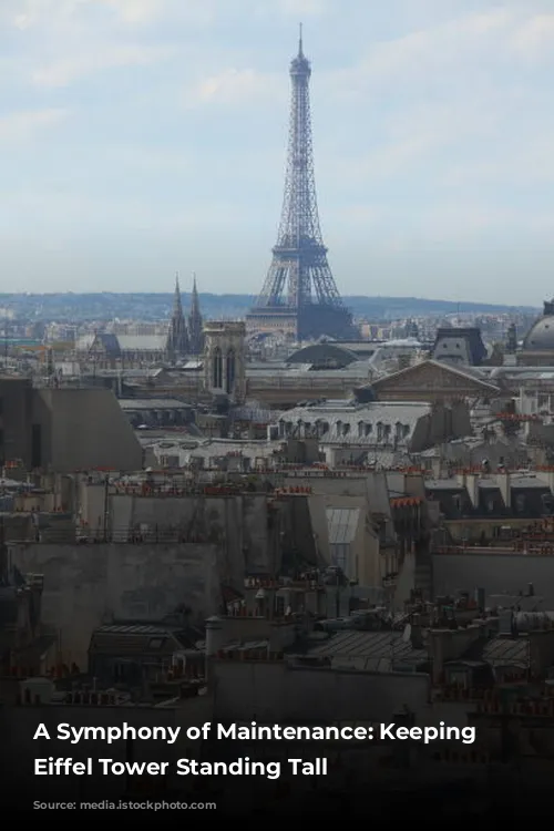 A Symphony of Maintenance: Keeping the Eiffel Tower Standing Tall