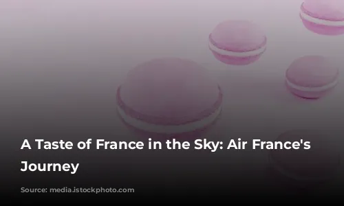 A Taste of France in the Sky: Air France's Culinary Journey