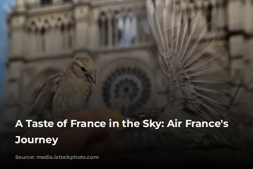 A Taste of France in the Sky: Air France's Culinary Journey