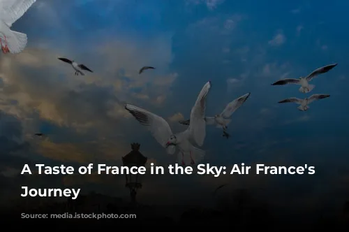 A Taste of France in the Sky: Air France's Culinary Journey