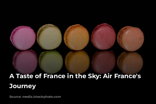 A Taste of France in the Sky: Air France's Culinary Journey