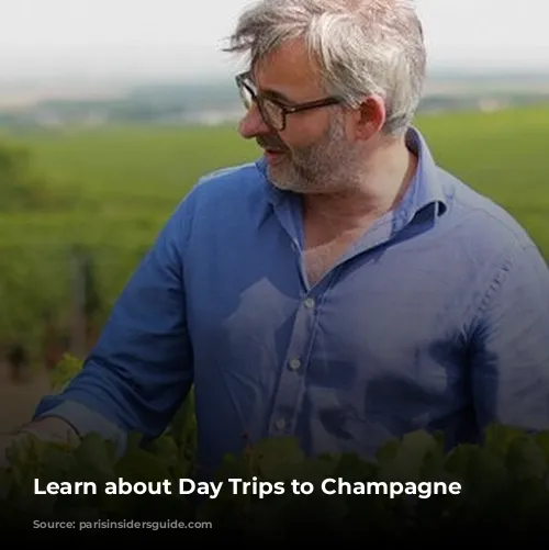 Learn about Day Trips to Champagne