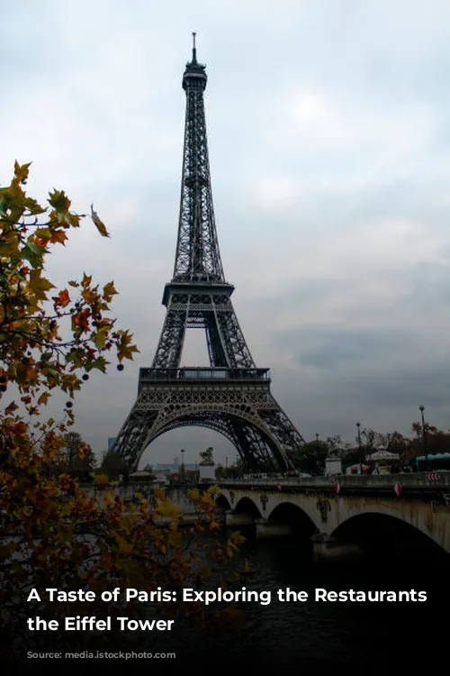 A Taste of Paris: Exploring the Restaurants of the Eiffel Tower