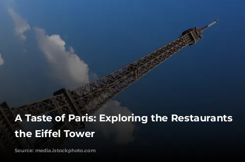 A Taste of Paris: Exploring the Restaurants of the Eiffel Tower