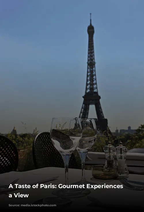 A Taste of Paris: Gourmet Experiences with a View