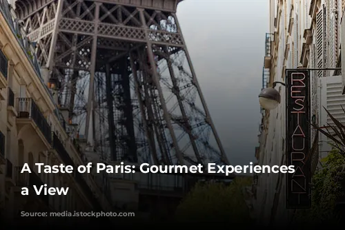 A Taste of Paris: Gourmet Experiences with a View