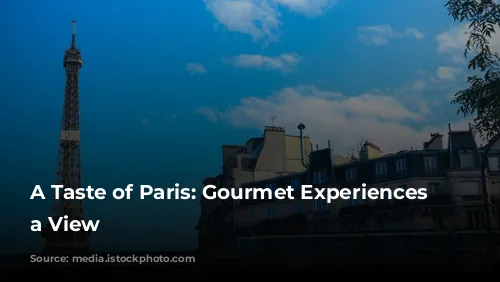 A Taste of Paris: Gourmet Experiences with a View