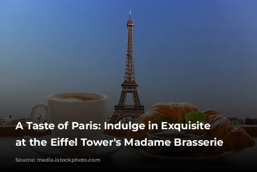 A Taste of Paris: Indulge in Exquisite Dining at the Eiffel Tower's Madame Brasserie