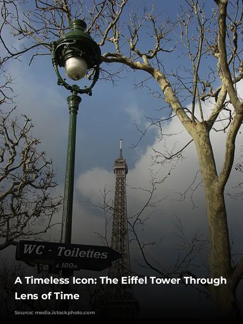 A Timeless Icon: The Eiffel Tower Through the Lens of Time