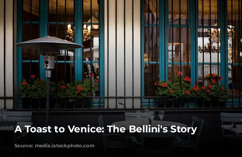 A Toast to Venice: The Bellini's Story