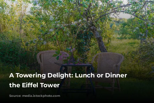 A Towering Delight: Lunch or Dinner at the Eiffel Tower