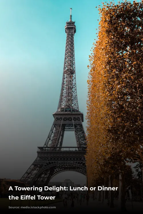 A Towering Delight: Lunch or Dinner at the Eiffel Tower