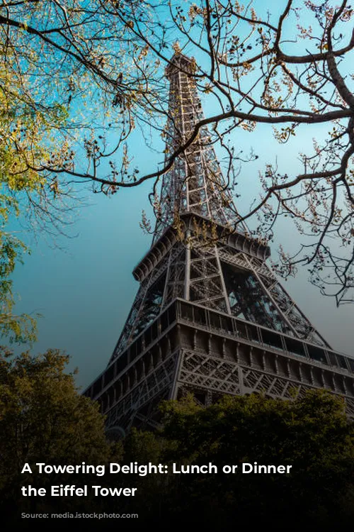 A Towering Delight: Lunch or Dinner at the Eiffel Tower