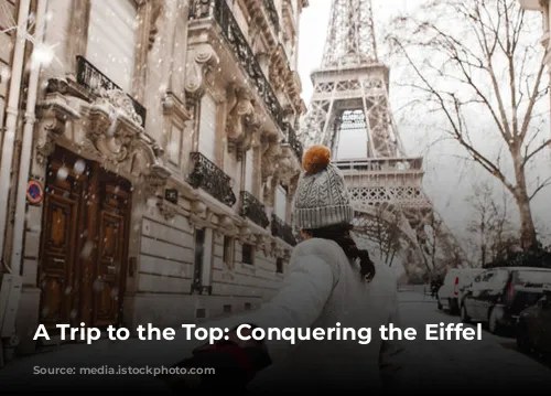 A Trip to the Top: Conquering the Eiffel Tower