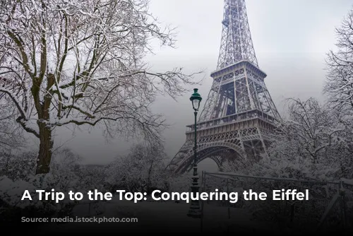 A Trip to the Top: Conquering the Eiffel Tower