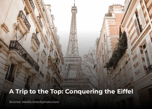 A Trip to the Top: Conquering the Eiffel Tower