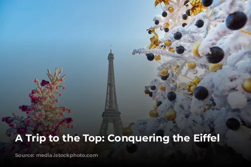 A Trip to the Top: Conquering the Eiffel Tower