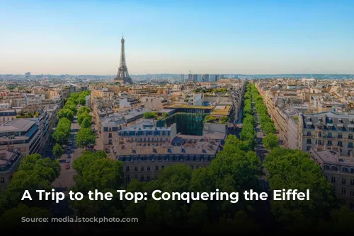 A Trip to the Top: Conquering the Eiffel Tower