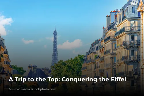 A Trip to the Top: Conquering the Eiffel Tower