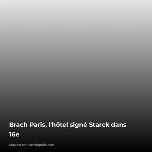 Brach Paris, l'hôtel signé Starck dans le 16e