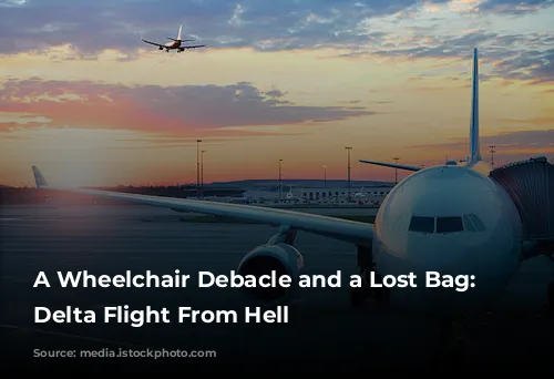 A Wheelchair Debacle and a Lost Bag: My Delta Flight From Hell