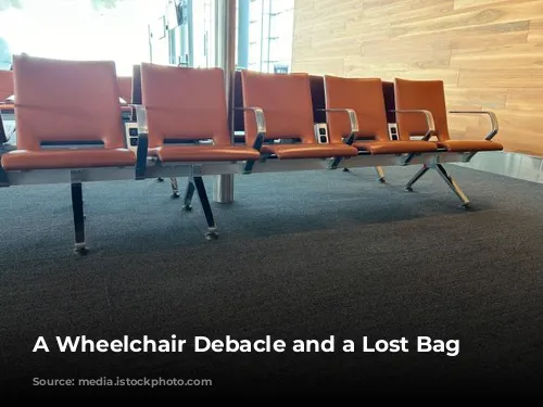 A Wheelchair Debacle and a Lost Bag