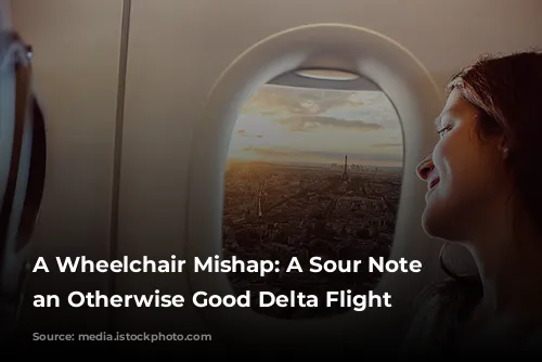 A Wheelchair Mishap: A Sour Note on an Otherwise Good Delta Flight