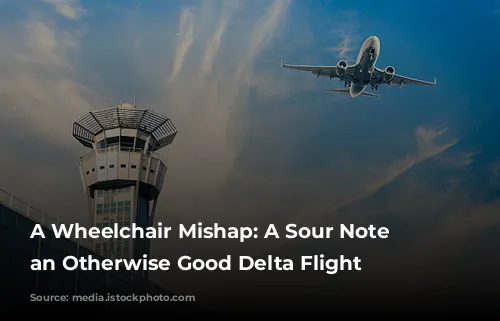 A Wheelchair Mishap: A Sour Note on an Otherwise Good Delta Flight