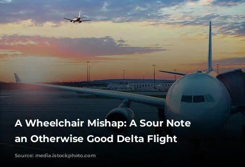 A Wheelchair Mishap: A Sour Note on an Otherwise Good Delta Flight