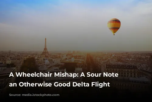 A Wheelchair Mishap: A Sour Note on an Otherwise Good Delta Flight