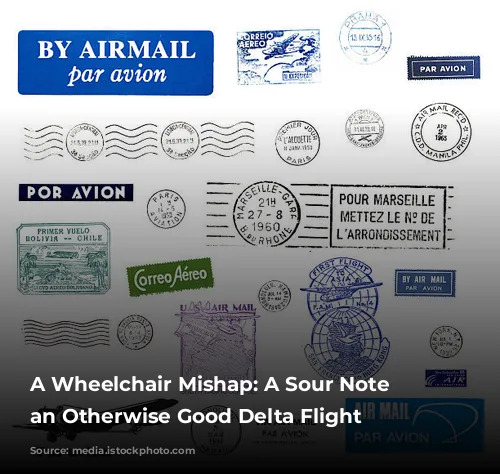 A Wheelchair Mishap: A Sour Note on an Otherwise Good Delta Flight