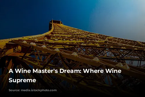 A Wine Master's Dream: Where Wine Reigns Supreme