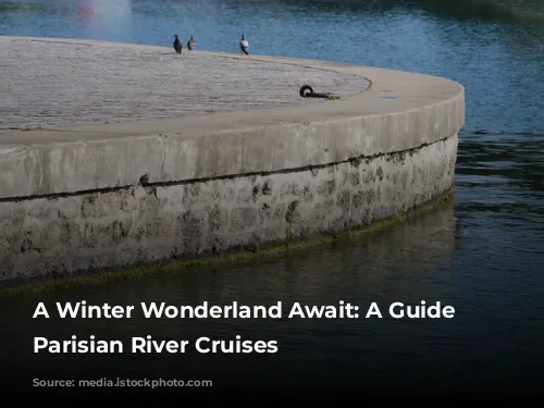 A Winter Wonderland Await: A Guide to Parisian River Cruises