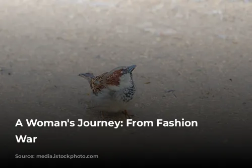 A Woman's Journey: From Fashion to War