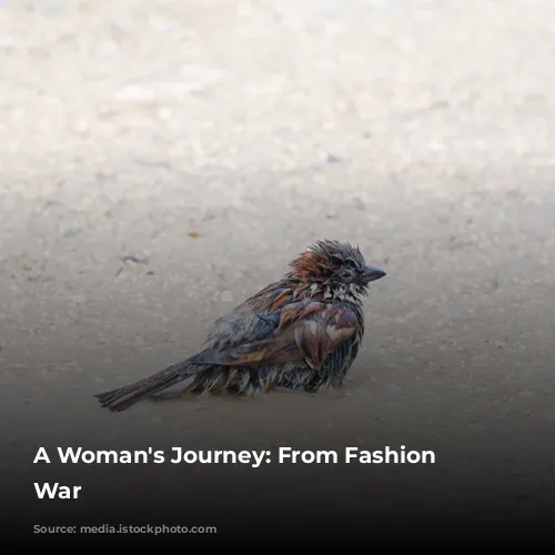 A Woman's Journey: From Fashion to War