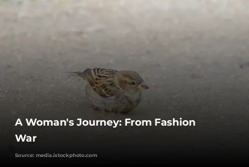 A Woman's Journey: From Fashion to War