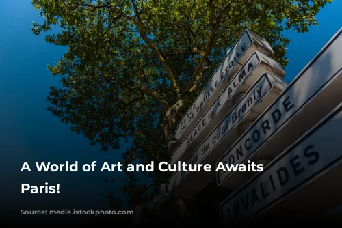 A World of Art and Culture Awaits in Paris!