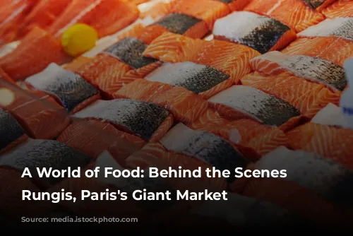 A World of Food: Behind the Scenes at Rungis, Paris's Giant Market