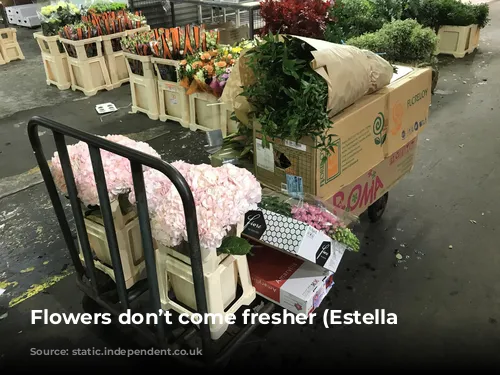 Flowers don’t come fresher (Estella Sharlow)