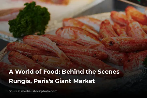 A World of Food: Behind the Scenes at Rungis, Paris's Giant Market