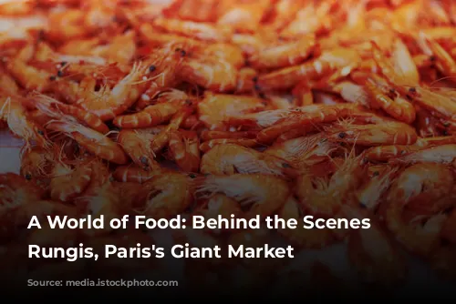 A World of Food: Behind the Scenes at Rungis, Paris's Giant Market