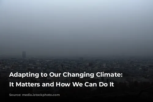 Adapting to Our Changing Climate: Why It Matters and How We Can Do It