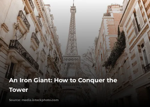 An Iron Giant: How to Conquer the Eiffel Tower