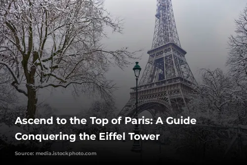 Ascend to the Top of Paris: A Guide to Conquering the Eiffel Tower