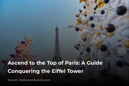 Ascend to the Top of Paris: A Guide to Conquering the Eiffel Tower