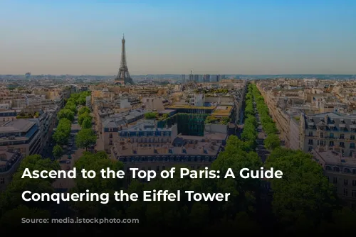 Ascend to the Top of Paris: A Guide to Conquering the Eiffel Tower