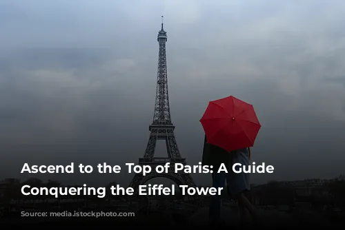 Ascend to the Top of Paris: A Guide to Conquering the Eiffel Tower