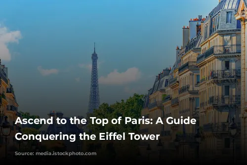 Ascend to the Top of Paris: A Guide to Conquering the Eiffel Tower