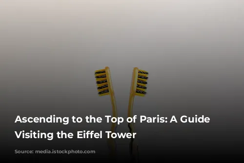 Ascending to the Top of Paris: A Guide to Visiting the Eiffel Tower