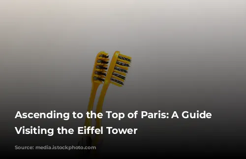 Ascending to the Top of Paris: A Guide to Visiting the Eiffel Tower